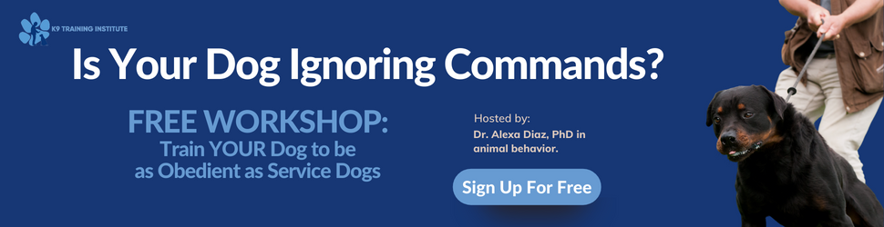 K9 Training Institute