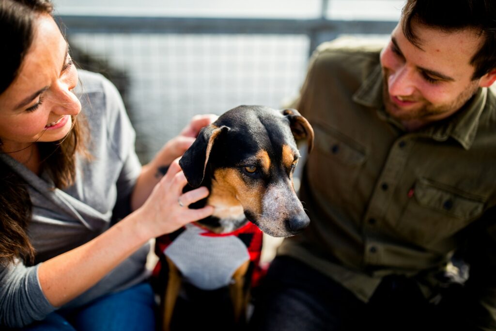 flea treatment for puppies